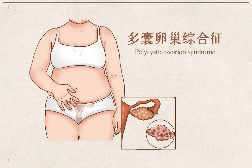 微信图片_2025-10-24_091103_901.jpg